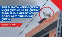 Ben buraya neden çıktım? Niçin çıktım? Nasıl çıktım? Bunu izaha gerek yok gördünüz, yürüdüm çıktım!