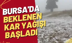 Bursa'da beklenen kar yağışı başladı