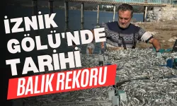 İznik Gölü'nde tarihi balık rekoru