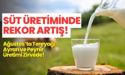 Süt Üretiminde Rekor Artış! Ağustos’ta Tereyağı, Ayran ve Peynir Üretimi Zirvede!