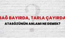 Bağ bayırda, Tarla çayırda atasözü ne demek? Ne anlama geliyor?