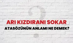 Arı Kızdıranı Sokar Atasözü ne demek? Ne Anlama gelir?