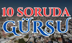 10 Soruda Bursa Gürsu