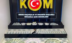 3 İlde Sahte Dolar Operasyonu: 15 Kişi Yakalandı, 4 Kişi Tutuklandı