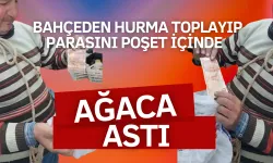Bahçeden hurma toplayıp parasını poşet içinde ağaca astı