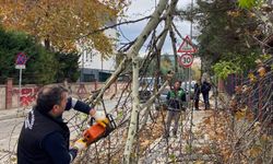 İnegöl Belediyesi’nde Lodos Mesaisi