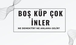 "Boş Küp Çok İnler" Atasözü Ne Demek? Ne Anlama Geliyor?