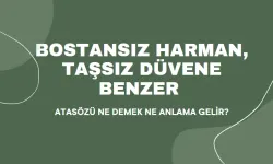 Bostansız Harman, Taşsız Düvene Benzer Atasözü Ne Demek, Ne Anlama Gelir?