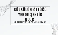 Bülbülün Öttüğü Yerde Şenlik Olur Atasözü Ne Demek? Bursa’dan Çıkıp Tüm Türkiye’ye Yayılan Atasözü Ne Demek