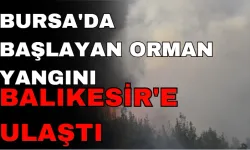 Bursa'da başlayan orman yangını Balıkesir'e ulaştı