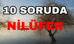 Bursa'nın Modern Yüzü Nilüfer Hakkında Her Şey! 10 Soruda Nilüfer'i Tanıyın!