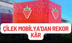 Çilek Mobilya'dan Rekor Kâr