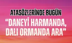 “Daneyi Harmanda, Dalı Ormanda Ara” Atasözü Ne Demek? Ne Anlama Geliyor?