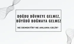 Dolu Dolu Bursa Atasözü "Doğdu Dövmeye Gelmez, Büyüdü Boğmaya Gelmez" Ne Demektir? Ne Anlama Gelir?