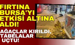 Fırtına Bursa'yı Etkisi Altına Aldı! Ağaçlar Kırıldı, Tabelalar Uçtu!