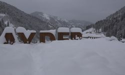 Ayder Yaylası'nda Karadeniz'in Kar Manzaraları Hayran Bırakıyor