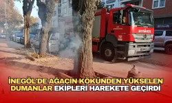 İnegöl'de Ağacın Kökünden Yükselen Dumanlar Ekipleri Harekete Geçirdi