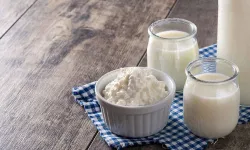 Evde Meyveli Kefir Nasil Yapılır, Hangi Meyvelerle Daha Lezzetli Olur Ve Nelere Dikkat Edilmelidir?