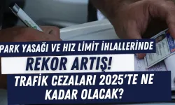 Park Yasağı ve Hız Limit İhlallerinde Rekor Artış! Trafik Cezaları 2025'te Ne Kadar Olacak?