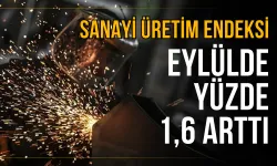 Sanayi üretim endeksi eylülde aylık yüzde 1,6 arttı