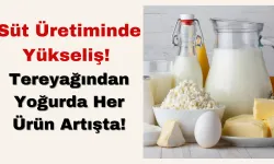 Süt Üretiminde Yükseliş! Tereyağından Yoğurda Her Ürün Artışta!