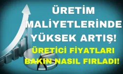 Üretim Maliyetlerinde Yüksek Artış! Üretici Fiyatları Bakın Nasıl Fırladı!