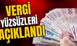 5 Milyon TL Üzeri Vergi Borcu Olan Mükellefler Açıklandı