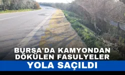 Bursa'da Kamyondan Dökülen Fasulyeler Yola Saçıldı