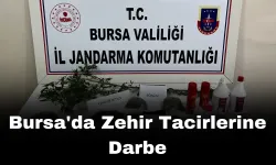 Bursa'da Zehir Tacirlerine Ağır Darbe