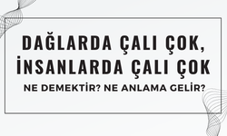 "Dağlarda Çalı Çok, İnsanlarda Çalı Çok" Atasözü Ne Demek? Ne Anlama Geliyor?