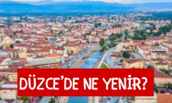 Düzce’de Ne Yenir? Düzce’de En Meşhur Yemekleri Düzce’nin Yöresel Yemekleri Hangileri?