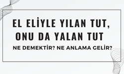 El Eliyle Yılan Tut, Onu Da Yalan Tut Atasözü Ne Demek? Ne Anlama Geliyor?