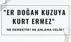 Bu Atasözü Bursa’da Doğdu! "Er Doğan Kuzuya Kurt Ermez" Atasözü Ne Demek? Ne Anlama Geliyor?