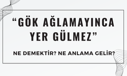 “Gök Ağlamayınca Yer Gülmez” Atasözü Ne Demek? Ne Anlama Geliyor?