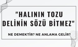 "Halının Tozu Delinin Sözü Bitmez" Atasözü Ne Demek? Ne Anlama Geliyor?