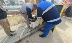 İnegöl'de Yürüyemeyen Sevimli Kedi "Paşa" Kurtarıldı