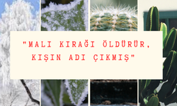 ''Malı Kırağı Öldürür, Kışın Adı Çıkmış" Atasözü Ne Demek? Ne Anlama Geliyor?