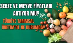 Sebze Ve Meyve Fiyatları Artıyor mu? Türkiye Tarımsal Üretim’de Ne Durumda? Tahıl Üretimi Azaldı mı?