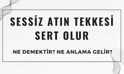 Sessiz Atın Tekkesi Sert Olur Atasözü Ne Demek? Ne Anlama Geliyor?