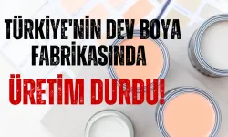 Türkiye'nin Dev Boya Fabrikasında Üretim Durdu!