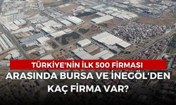 Türkiye'nin İlk 500 Firması Arasında Bursa ve İnegöl'den Kaç Firma Var?