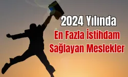 2024 Yılında En Fazla İstihdam Sağlayan Meslekler ve Sektörler Açıklandı