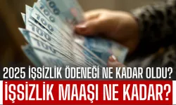 2025 İşsizlik Maaşı Zammı: 2025 İşsizlik Ödeneği Ne Kadar Oldu? İşte Yeni Yılda İşsizlik Maaşı...