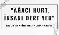 "Ağacı Kurt, İnsanı Dert Yer" Atasözü Ne Demek? Ne Anlama Geliyor?