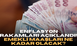 2024 Yılı Enflasyon Rakamları Açıklandı! Emekli Maaşları Ne Kadar Olacak?