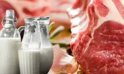 Ramazan Ayında Uygun Fiyatlı Kırmızı Et için Önlemler Alındı