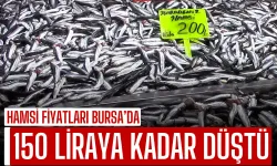 Hamsi Fiyatları Bursa’da 150 Liraya Kadar Düştü