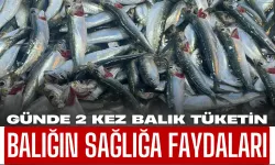 Sağlıklı Beslenmenin Sırrı: Haftada 2 Kez Balık Tüketin