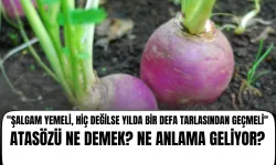 "Şalgam Yemeli, Hiç Değilse Yılda Bir Defa Tarlasından Geçmeli" Atasözü Ne Demek? Ne Anlama Geliyor?