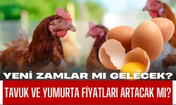 Tavuk ve yumurta fiyatları artacak mı? Yeni zamlar mı gelecek? Tavuk ve yumurta üretimi arttı mı?